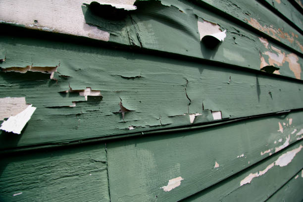 Affordable siding repair and maintenance services in Sault Ste Marie, MI